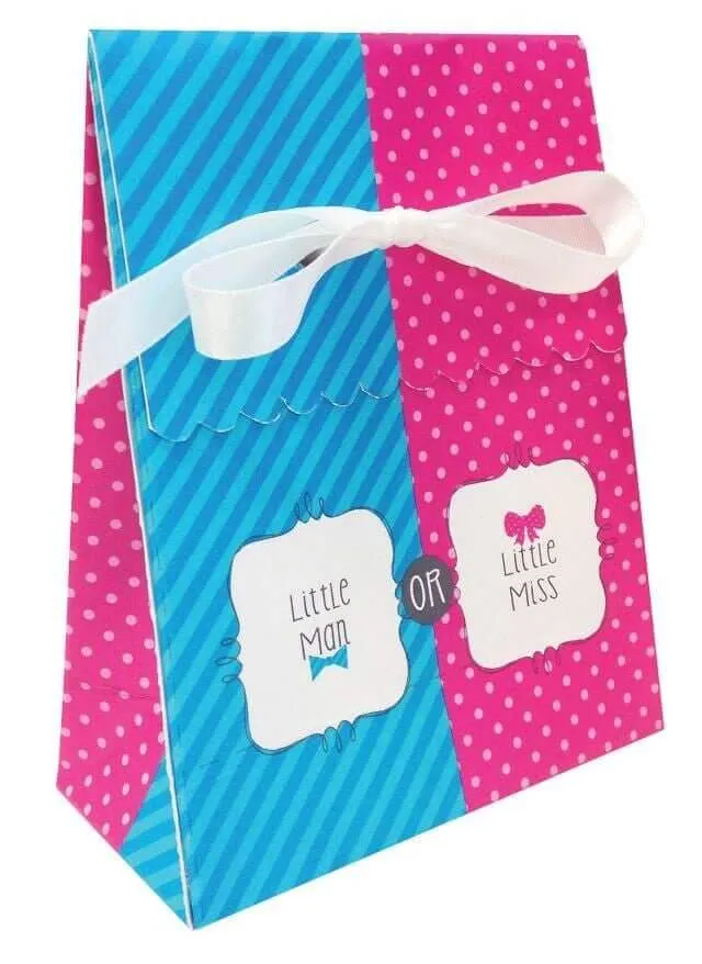 Baby Shower - 'Bow Or Bowtie?' Favor Bags with Ribbon
