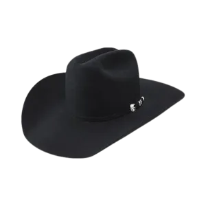 Resistol  Men's 100X Beaver Felt Cowboy Black Hat