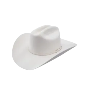 Stetson Men's 6X Vera Cruz Hat